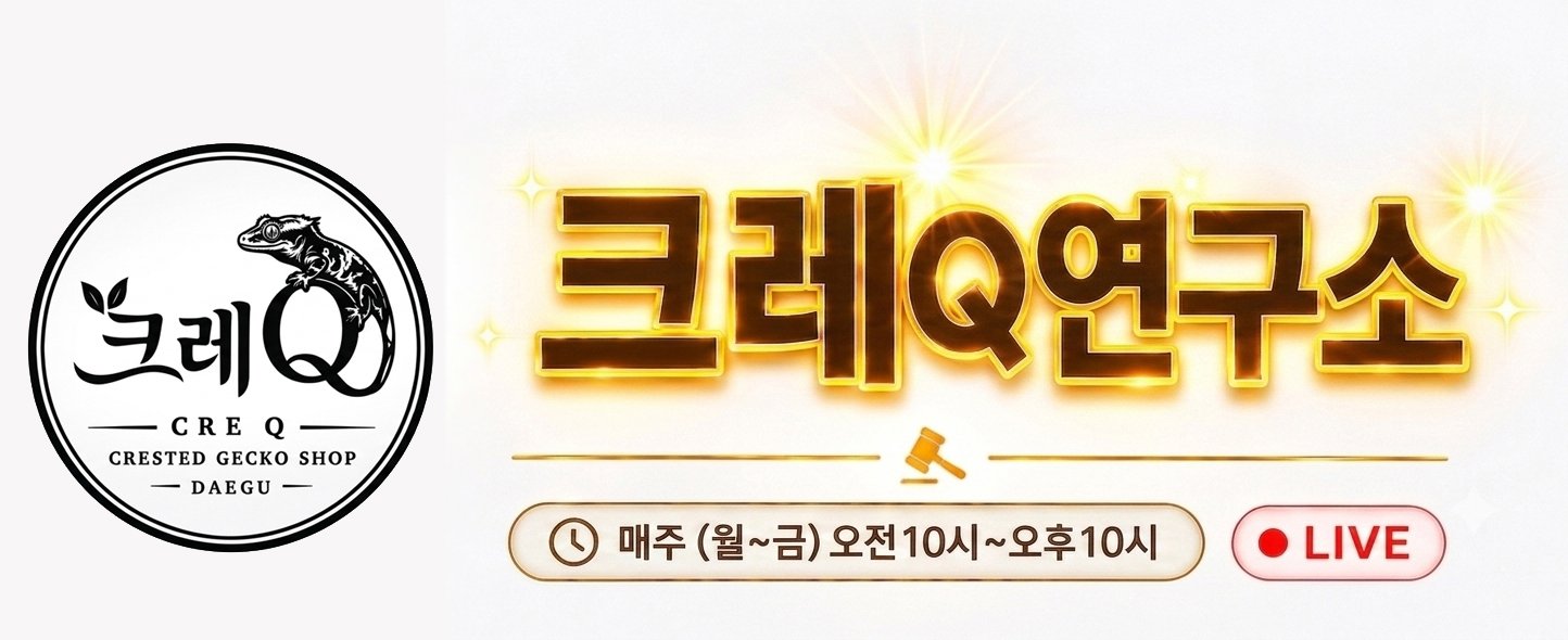 크레Q경매(연구소)